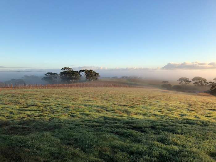 IMG_4073 - GALLERY.JPG